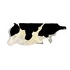 Image 2 : Holstein Black & White Natural Cowhide Rug