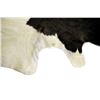 Image 6 : Holstein Black & White Natural Cowhide Rug
