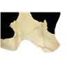 Image 9 : Holstein Black & White Natural Cowhide Rug