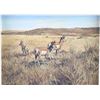 Image 2 : Ernest Berke Original Antelope Framed Oil Painting