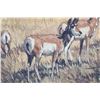 Image 4 : Ernest Berke Original Antelope Framed Oil Painting