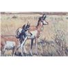Image 5 : Ernest Berke Original Antelope Framed Oil Painting