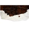 Image 8 : Exotic Tri-Colored Speckled Cowhide Premium Rug
