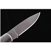 Image 8 : Rare Onyx, Abalone & MOP Bronze Custom Knife