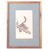 Image 1 : Bowen Lithograph Red Tailed Squirrel by Audubon