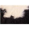 Image 8 : Holstein Black & White Cowhide Two Pillow Set