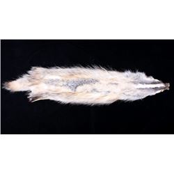 Montana Taxidermy American Badger Hide