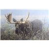 Image 2 : 1992 "Moose Poised Creekside" by Ray "Paco" Young