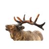Image 8 : Bugling Bull Elk Resin Sculpture by Attila's