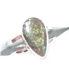 Image 2 : SILVER AMMOLITE  RING (~SIZE 7)