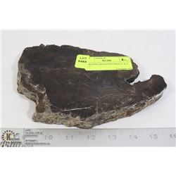 PETRIFIED WOOD SPECIMEN 8" X 5" X 1"