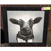 Image 1 : FRAMED COW PICTURE 16 X 16