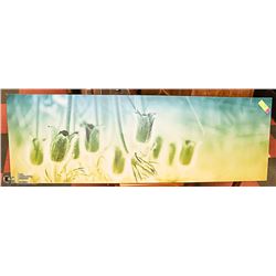 SHOWHOME CANVAS 47" X 16"