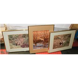 3 FRAMED WOLF PRINTS 16X20