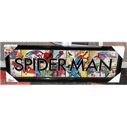 SPIDER-MAN FRAMED MARVEL PICTURE