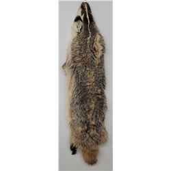 Montana Taxidermy Badger Fur Hide Pelt w/ Claws