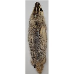 Montana Taxidermy Badger Fur Hide Pelt w/ Claws