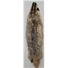 Image 1 : Montana Taxidermy Badger Fur Hide Pelt w/ Claws