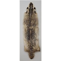 Montana Taxidermy Badger Fur Hide Pelt
