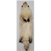 Image 2 : Montana Taxidermy Badger Fur Hide Pelt