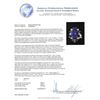 Image 5 : 10.69 ctw Tanzanite, Tsavorite, Blue Sapphire, and Diamond Ring - 14KT White Gol