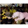 Image 2 : ASSORTED VINTAGE COLLECTIBLE DOLLS