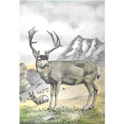 1920's Mule Deer Color Lithograph Print