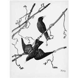 1950 Menaboni Print, Starling ( Black/White )