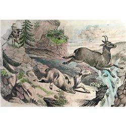 18thc Handcolored Engraving, Chamois Hunting