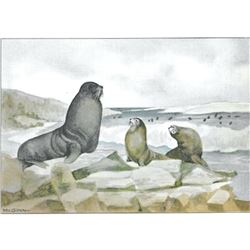1920's Seal Color Lithograph Print