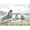 Image 1 : 1920's Seal Color Lithograph Print