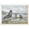 Image 2 : 1920's Seal Color Lithograph Print
