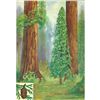 Image 1 : 1920's Redwood Color Lithograph Print