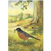 Image 1 : 1920's Robin Color Lithograph Print