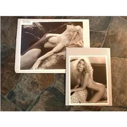 Actress, Playboy Playmate Shannon Tweed Sepia Tone Photo Prints