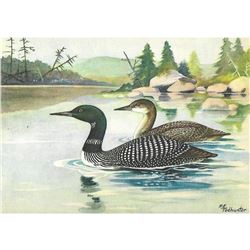 1920's Loon Color Lithograph Print