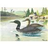 Image 1 : 1920's Loon Color Lithograph Print