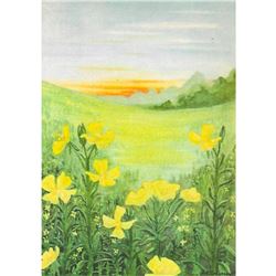 1920's Evening Primrose Color Lithograph Print