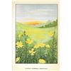 Image 2 : 1920's Evening Primrose Color Lithograph Print