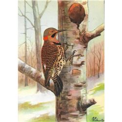1920's Flicker Color Lithograph Print