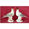 Image 1 : Pair Meissen Bird Figurines ROYAL TERNS  #1405269