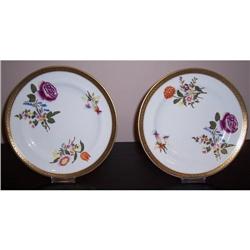 Hand Painted Royal Worcester porcelain plates #1440520