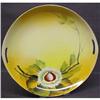 Image 1 : DECO  NORITAKE  HAND PAINTED PLATE  #1440580