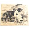 Image 1 : Dogs-Pen & Ink #1458477