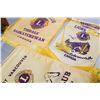 Image 2 : LIONS CLUB PENNANT LOT
