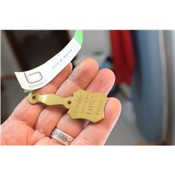 1933 REGINA SASK. MINT DOG TAG