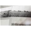 Image 2 : FARM PHOTOS FROM OLD NEGATIVES