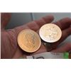 Image 2 : 2 TIMES THE MONEY $  5 DOLLAR STERLING SILVER 1 OZ. CANADA COIN