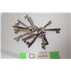Image 1 : SKELETON KEY LOT 1898 ETC