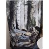 Image 1 : Blanket 47" x 62"